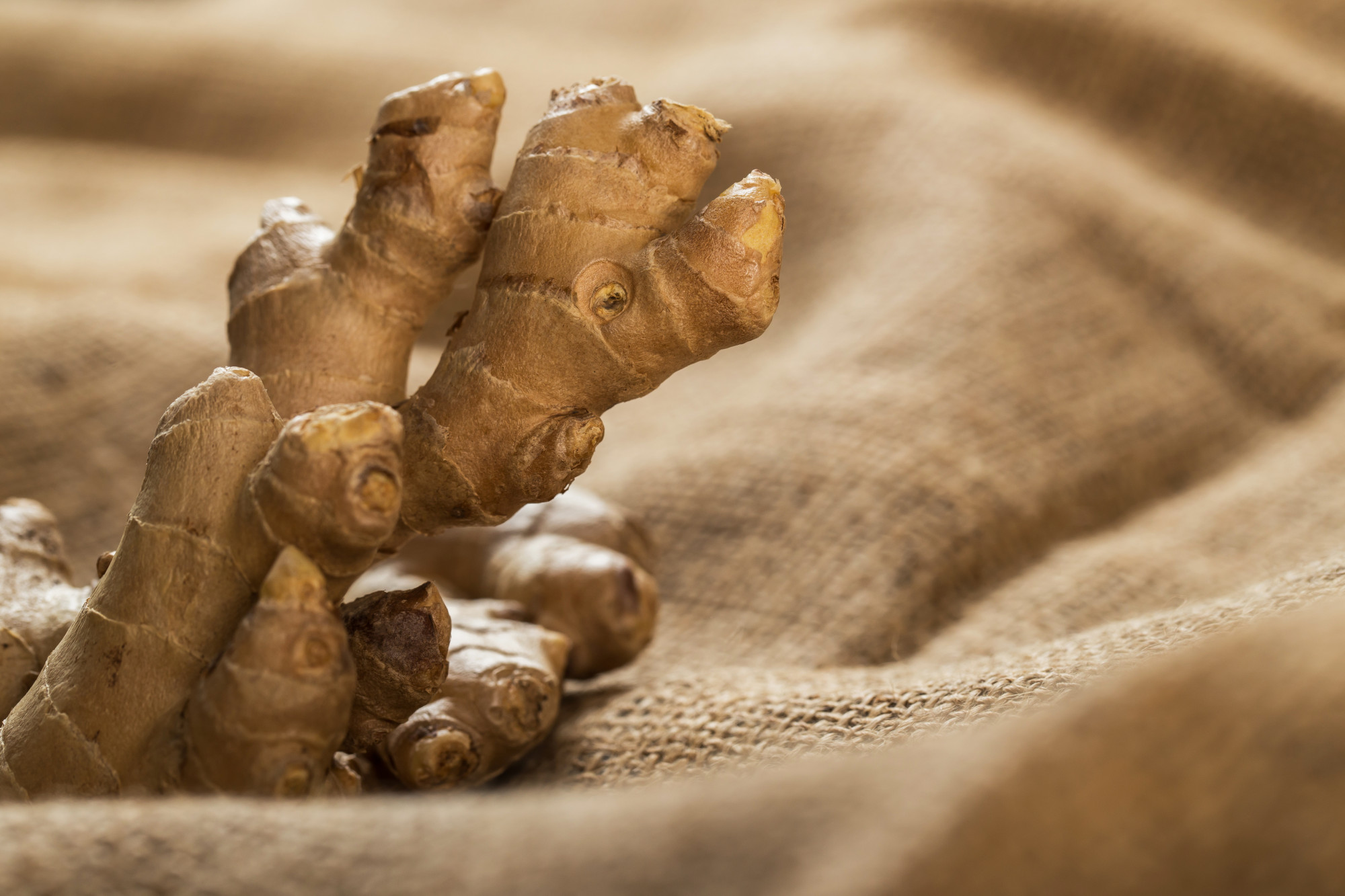 A Step-By-Step Guide To Growing Ginger