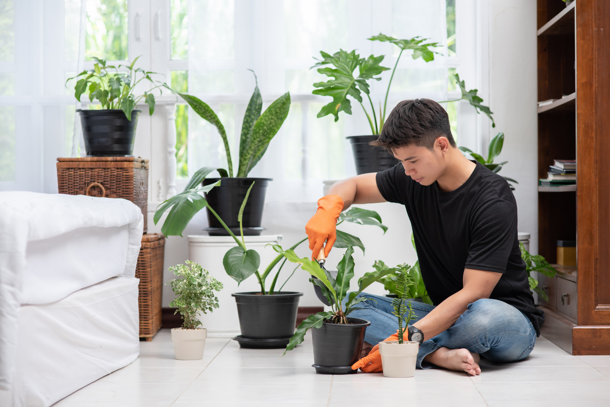 How To Pick The Right Containers For Your Houseplants